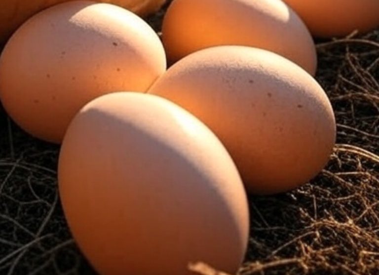 Egg prices crack, but mainstream media has forgotten its price obsession it hatched in the spring