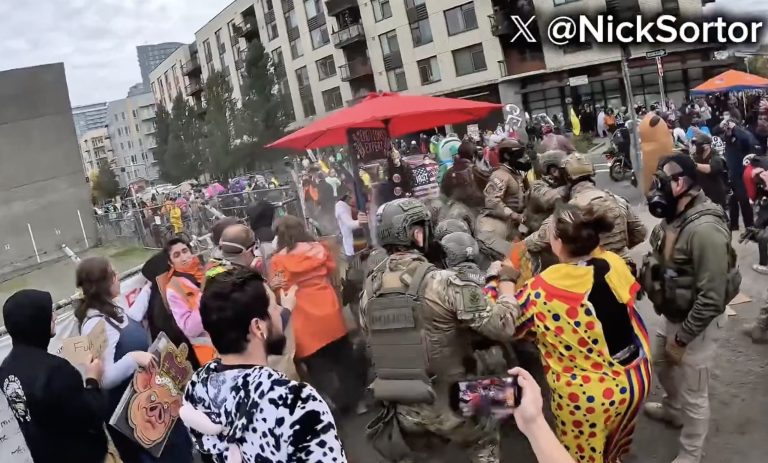 Portland’s No Kings: A riot of stuffies funded by George Soros network of foundations