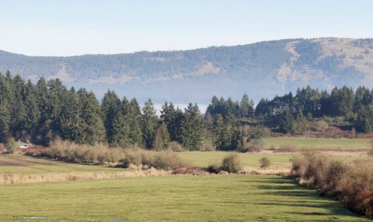 Next door: Aboriginal land ruling sparks fear, confusion among landowners in British Columbia