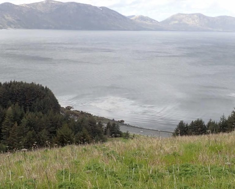 Alaska’s annual land auction puts nearly 100 parcels into Alaskans’ hands