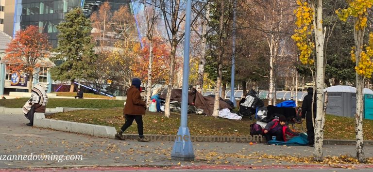 Early data show limited progress in Anchorage’s crackdown on illegal camping and fire violations