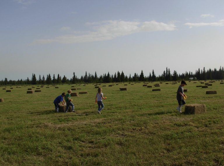 The man who fought the flood: One rancher’s battle against water and bureaucracy on the Kenai