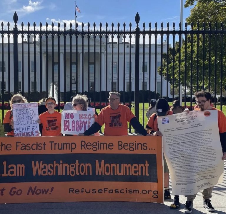 Nov. 5 protest in DC: Organized attempt to overthrow an elected president