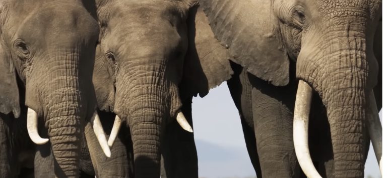 District chair – husband to embattled Minority Leader – abruptly cancels district meeting