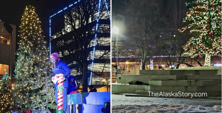 Photo gallery: After the tree lighting, the real residents return to Town Square Park in Anchorage