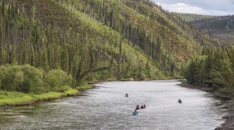 Feds concede: Alaska owns navigable North Fork of Fortymile River