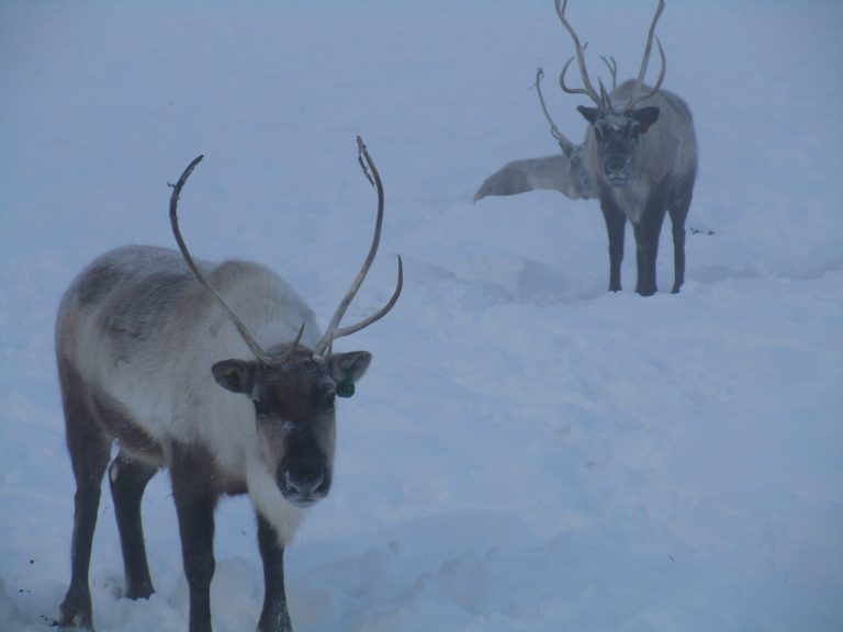 Santa might want to leave Alaska early: Cold records pile up across state
