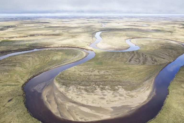 Breaking: NPR-A bids announced, major oil companies show interest in Alaska again, marking a reversal