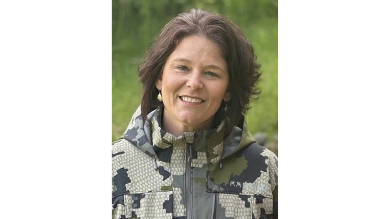 Rep. Rebecca Schwanke: Does Alaska LNG need property tax breaks?