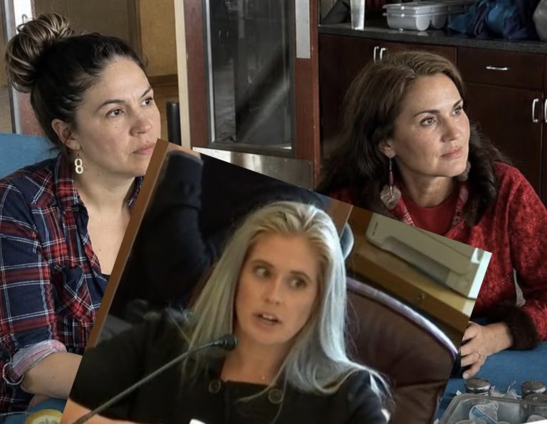 Lesil McGuire reshuffles deck, names former lawmaker Sara Rasmussen as running mate